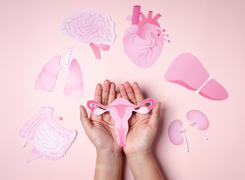 Artigo de Blog Menopausa Farmácias Correia Rosa Caldas da Rainha
