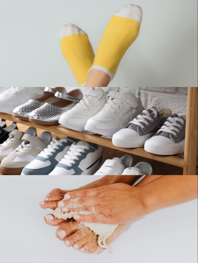 Fatores que influenciam odor Farmácias Correia Rosa Caldas da Rainha